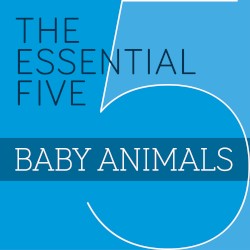 The Essential Five