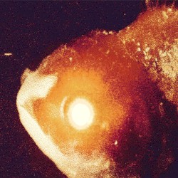 Yeah Right (QRV Bootleg)