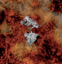 Shuriken Shock / Blossom