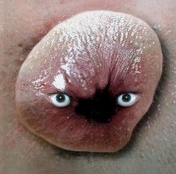 Schimpfluch-Commune Int.