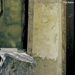 Sunshine Filtering Through Foliage