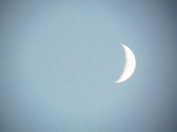 U.S. Moon Landing