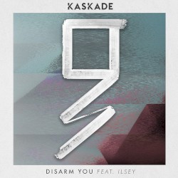 Disarm You (Grey remix)
