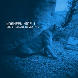 Hide U (2024 Reload-Remix, Pt. 1)