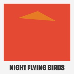 Night Flying Birds