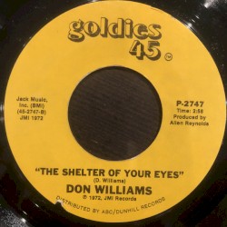 Amanda / The Shelter of Your Eyes