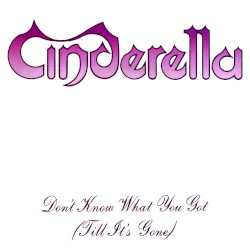 Don’t Know What You Got (Till It’s Gone)