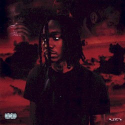 The Summer I Turned RED