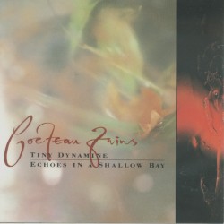 Tiny Dynamine / Echoes in a Shallow Bay