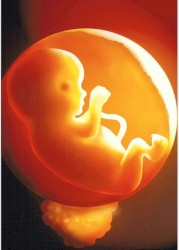 Symphonie pour foetus I