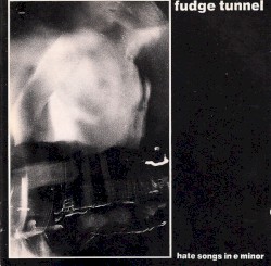 Hate Songs in E Minor