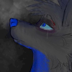 Songs From a Broken Mind