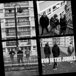 Run In The Jungle (Album Sampler 1)