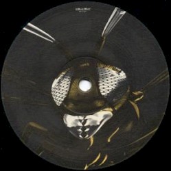 Rhythmen Aus Dem Bienenstock E.P.