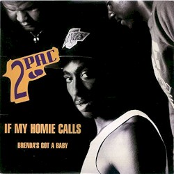 If My Homie Calls / Brenda’s Got a Baby
