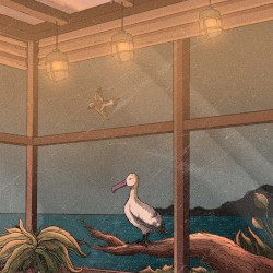 Where Birds Fly