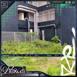 Plexus