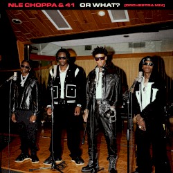 Or What (orchestra mix)