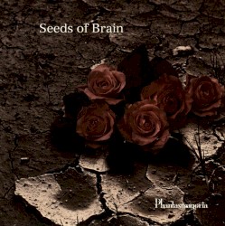 Seeds of Brain