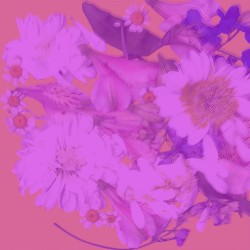 Красивые Слова