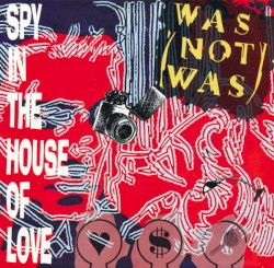 Spy in the House of Love
