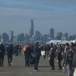 Alameda Flea Market
