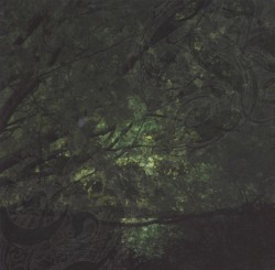 朽ちていく中で