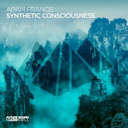 Synthetic Consciousness