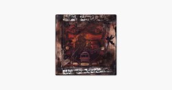 A City Dressed in Dynamite