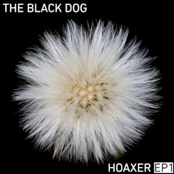 Hoaxer EP1