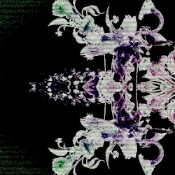 𝙂𝙧𝙖𝙘𝙚𝙨