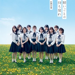 願いごとの持ち腐れ