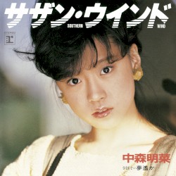 サザン・ウインド