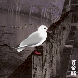 Yurikamome: 13 Japanese Birds, Pt. 3