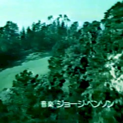 104: What You’ve Been Saying