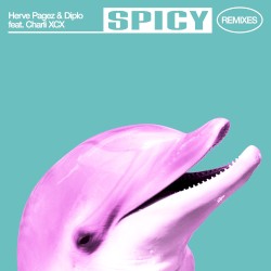 Spicy (remixes)