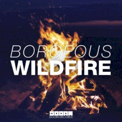 Wildfire