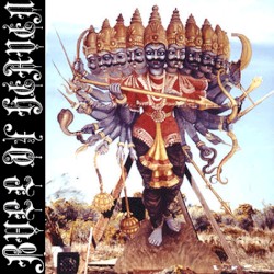 101: Like the First Pine Cone