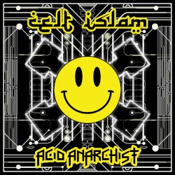 Acid Anarchist
