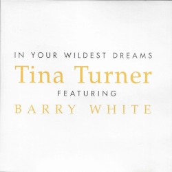 In Your Wildest Dreams