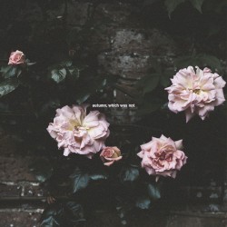 Autumn, Which Was Not
