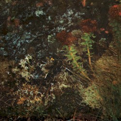 Driving Hours (musclecaars "Call Me" Mix)