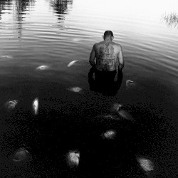 Зов озера («Берегите ваши лица» OST)