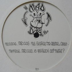 The Search For Animal Ching / Is Anybody Out There?