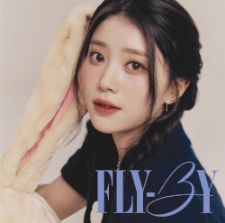 <FLY‐BY>