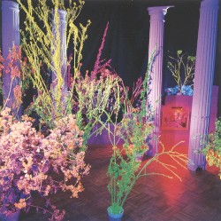 Warehouse: Songs and Stories