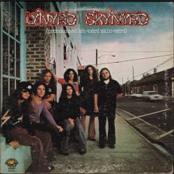 (pronounced ’lĕh‐’nérd ’skin‐’nérd)