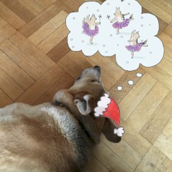 Boom Forest invites you to a Very Cookie Christmas Vol. 3: Sugar Plum Dance Party