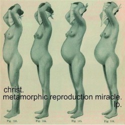 Metamorphic Reproduction Miracle