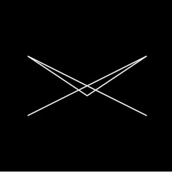 Everyone Was a Bird Remixed